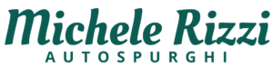 Michele Rizzi | Autospurghi